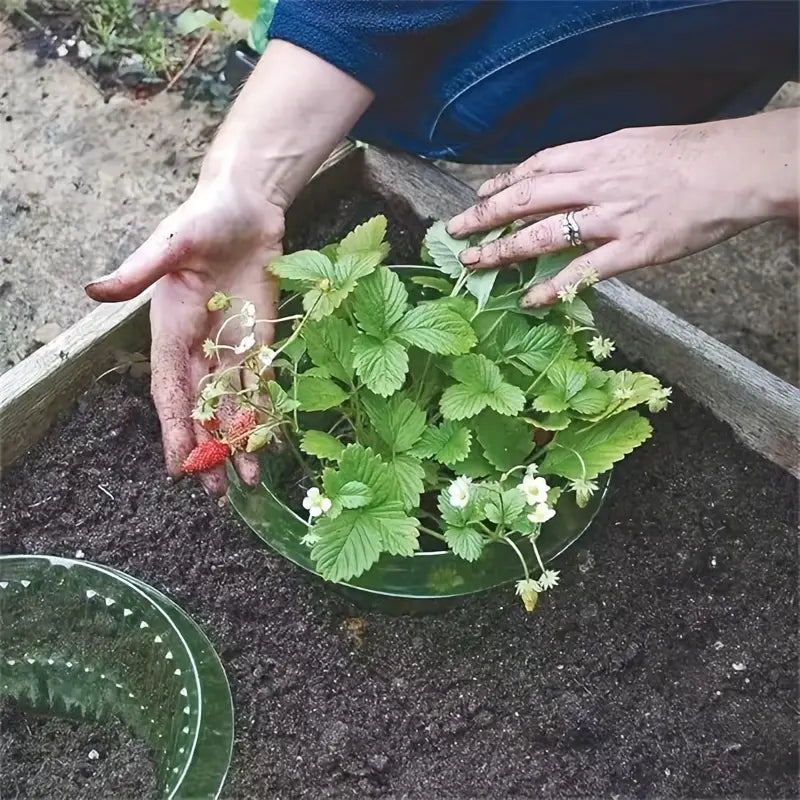 Jardioui Collier Anti-Escargot Réutilisable pour Plantes
