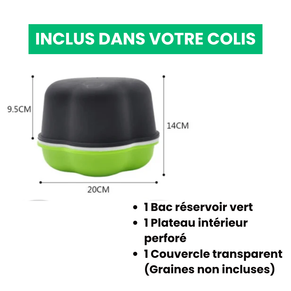 Jardioui Plateau de Culture Hydroponique Maison Innovant