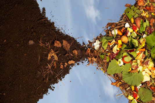 Comment faire du compost ?