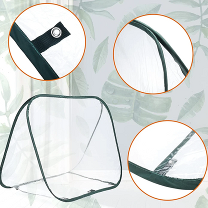 Mini Serre Anti-Intempéries Durable