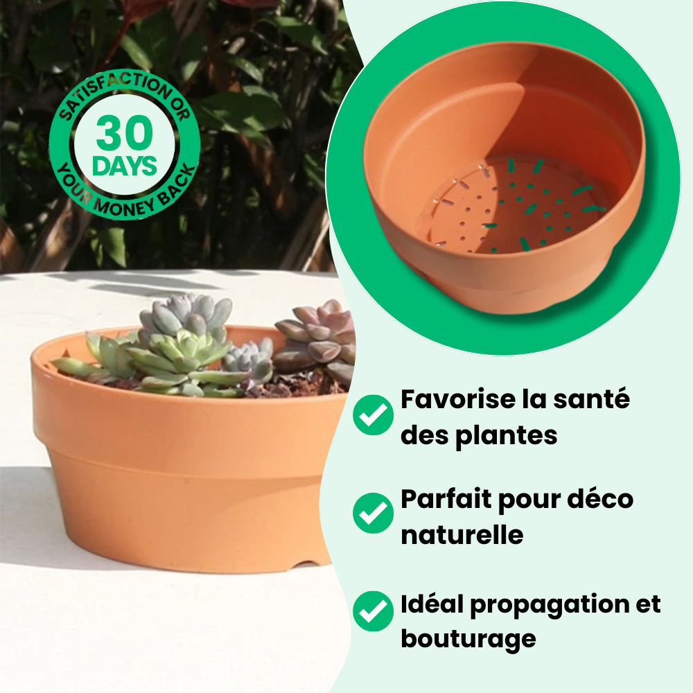 Pots de Fleurs en Terre Cuite Écologiques (4 + 2 Offerts)