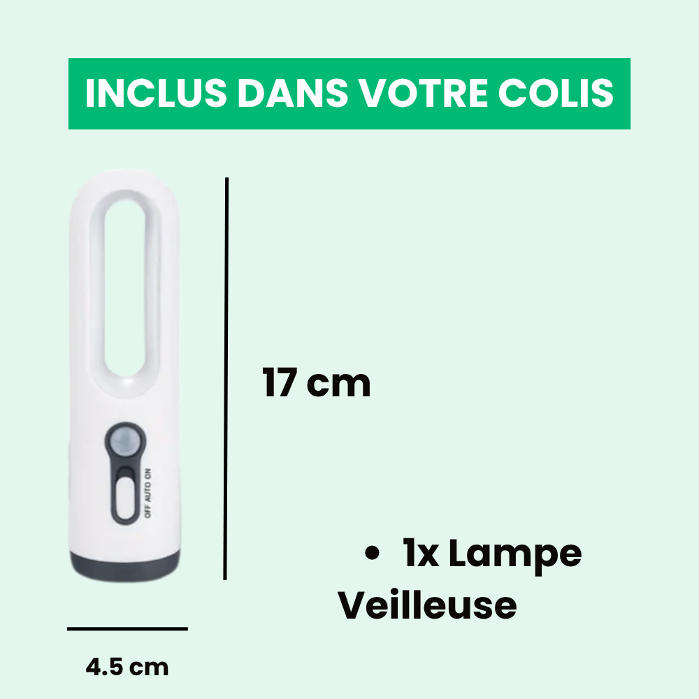 Lampe Veilleuse Détecteur de Mouvement Rechargeable