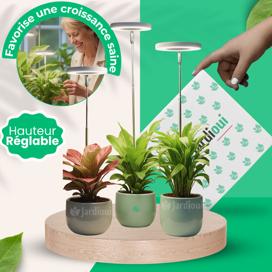 Jardioui 3 Moyennes (max 60cm) Lampe de Croissance LED d'Intérieur (Lot de 2+1 Offerte)