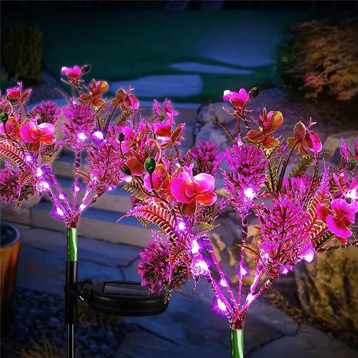 Jardioui Lampe solaire Phalaenopsis Envoûtante Élégante